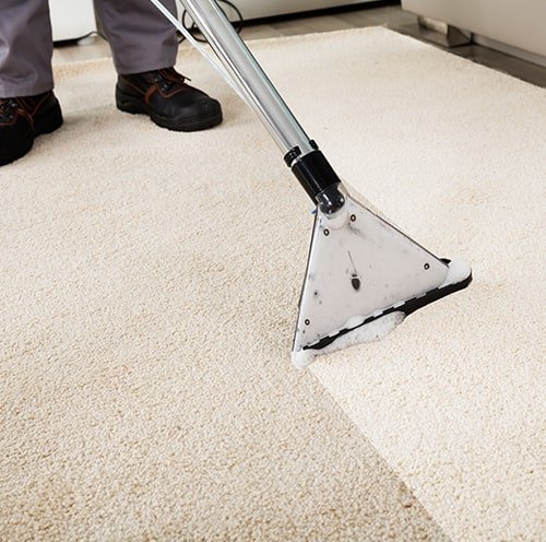 Carpet Care Deep Clean Vacuuming