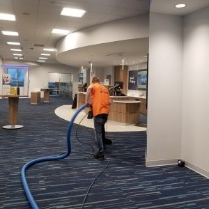 Carpet Cleaning