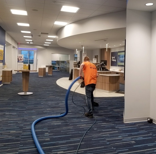 Carpet Cleaning
